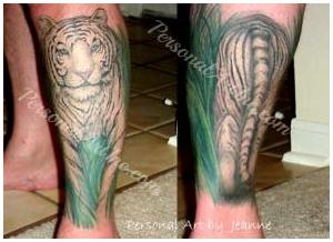 White tiger walking through his leg -